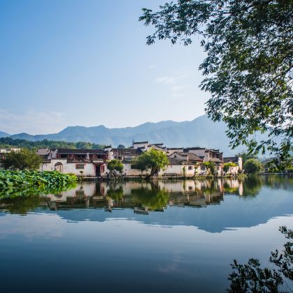 宏村+新安江山水画廊+徽州古城2日1晚跟团游 宏村+新安江山水画廊+徽州古城2日1晚跟团游