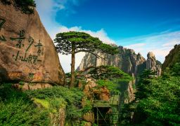 travel picture