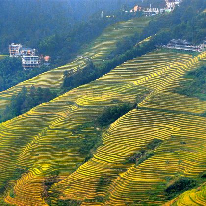 桂林+阳朔+漓江四星游船+龙脊梯田5日4晚私家团 桂林+阳朔+漓江四星游船+龙脊梯田5日4晚私家团