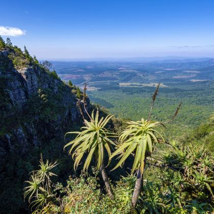 南非约翰内斯堡+克鲁格国家公园+开普敦+花园大道9日8晚拼小团 南非约翰内斯堡+克鲁格国家公园+开普敦+花园大道9日8晚拼小团