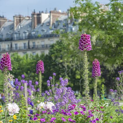 法国巴黎+尼斯+图卢兹+波尔多+阿维尼翁+马赛10日9晚拼小团 法国巴黎+尼斯+图卢兹+波尔多+阿维尼翁+马赛10日9晚拼小团