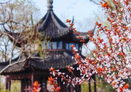 travel picture