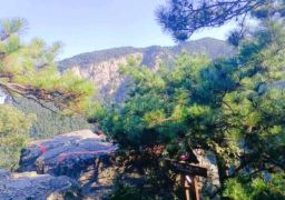 travel picture