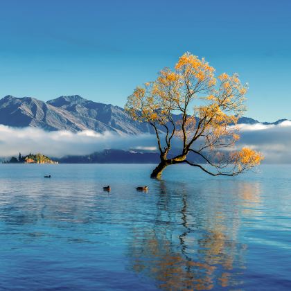 新西兰南岛10日7晚自由行 新西兰南岛10日7晚自由行