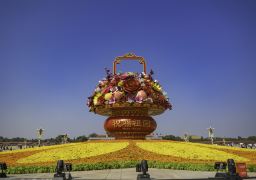 travel picture