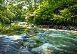travel picture