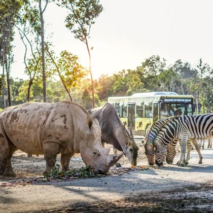 越南胡志明市+富国岛+芽庄10日9晚自由行 越南胡志明市+富国岛+芽庄10日9晚自由行