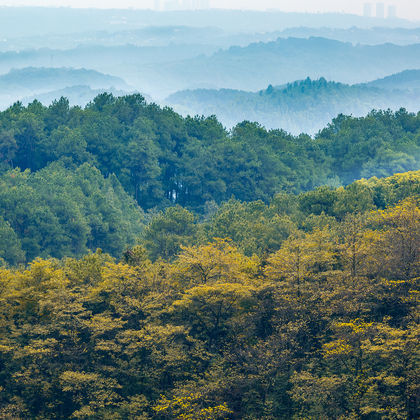 金刚碑·温泉老村+缙云山一日游 金刚碑·温泉老村+缙云山一日游