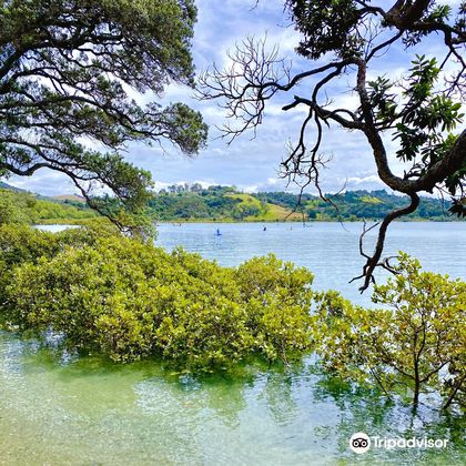 新西兰奥克兰Wenderholm Regional Park一日游 新西兰奥克兰Wenderholm Regional Park一日游