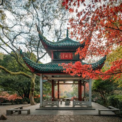 湖南长沙+韶山+靖港古镇+橘子洲+爱晚亭7日6晚私家团 湖南长沙+韶山+靖港古镇+橘子洲+爱晚亭7日6晚私家团