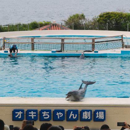 日本东京+冲绳+东京迪士尼乐园+冲绳美丽海水族馆6日5晚私家团 日本东京+冲绳+东京迪士尼乐园+冲绳美丽海水族馆6日5晚私家团