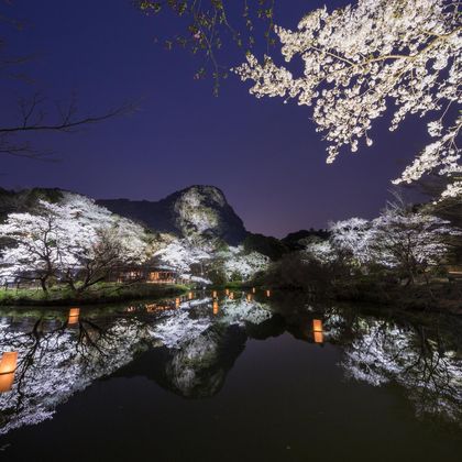 有田陶瓷公园+伊万里大川内山+御船山乐园一日游