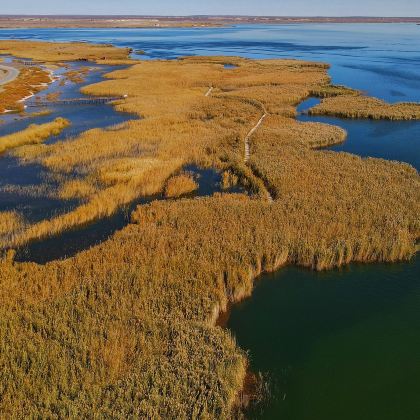 内蒙古额济纳胡杨林旅游区+响沙湾+西部梦幻峡谷+纳林湖景区8日7晚私家团 内蒙古额济纳胡杨林旅游区+响沙湾+西部梦幻峡谷+纳林湖景区8日7晚私家团