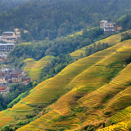 桂林+阳朔+漓江风景名胜区+三江+龙脊梯田5日4晚私家团 桂林+阳朔+漓江风景名胜区+三江+龙脊梯田5日4晚私家团