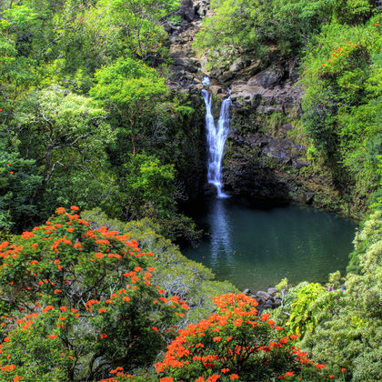美国夏威夷+茂宜岛+哈纳公路+Puohokamoa瀑布一日游