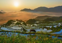 travel picture