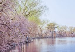 travel picture