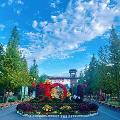 江苏泗洪洪泽湖湿地景区+洋河酒厂文化旅游区+项王故里一日游 江苏泗洪洪泽湖湿地景区+洋河酒厂文化旅游区+项王故里一日游