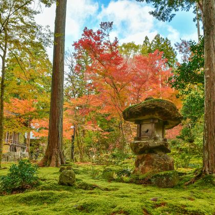 日本大阪+京都+奈良+东京+富士山+镰仓市6日5晚跟团游 日本大阪+京都+奈良+东京+富士山+镰仓市6日5晚跟团游