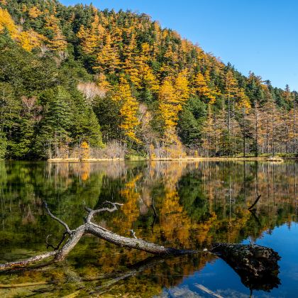 日本轻井泽町+松本市+高山市+名古屋7日6晚私家团 日本轻井泽町+松本市+高山市+名古屋7日6晚私家团