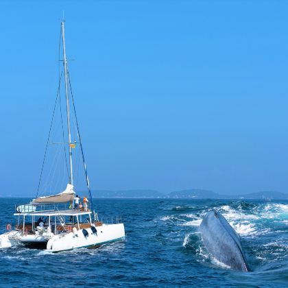 斯里兰卡7日5晚跟团游 斯里兰卡7日5晚跟团游