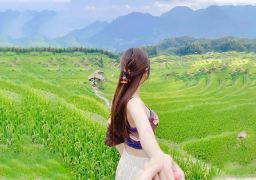 travel picture