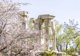 travel picture