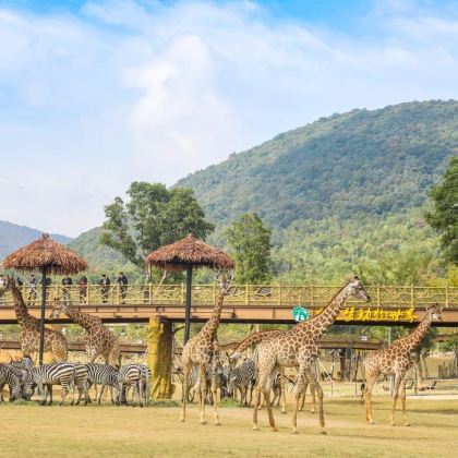 湖州+太湖龙之梦乐园2日1晚自由行 湖州+太湖龙之梦乐园2日1晚自由行