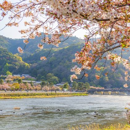 日本大阪+京都+奈良+东京+富士山7日6晚拼小团 日本大阪+京都+奈良+东京+富士山7日6晚拼小团