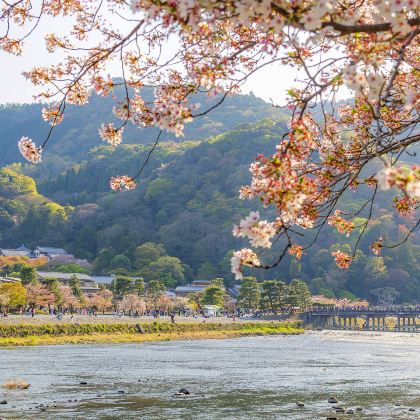 日本大阪+京都+伊势市+鸟羽市+伏见稻荷大社+岚山+伊势神宫+夫妇岩+鸟羽水族馆7日6晚拼小团 日本大阪+京都+伊势市+鸟羽市+伏见稻荷大社+岚山+伊势神宫+夫妇岩+鸟羽水族馆7日6晚拼小团