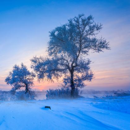长春冰雪新天地+净月潭+雾凇岛+长春天定山滑雪场5日4晚私家团 长春冰雪新天地+净月潭+雾凇岛+长春天定山滑雪场5日4晚私家团