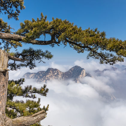 华山一日游