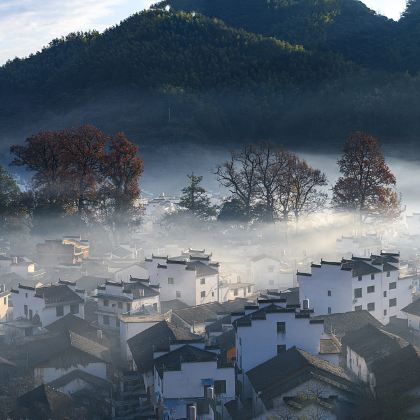 婺源+三清山风景区4日3晚私家团 婺源+三清山风景区4日3晚私家团