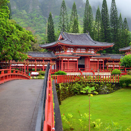 日本东大寺+宇治神社+平等院+伏见稻荷大社一日游