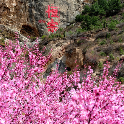 山西大同恒山+悬空寺+应县木塔一日游 山西大同恒山+悬空寺+应县木塔一日游