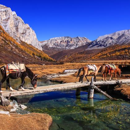 稻城亚丁+墨石公园景区+四姑娘山+毕棚沟+达古冰川风景区+新都桥+塔公草原+海螺沟+成都大熊猫繁育研究基地12日11晚私家团 稻城亚丁+墨石公园景区+四姑娘山+毕棚沟+达古冰川风景区+新都桥+塔公草原+海螺沟+成都大熊猫繁育研究基地12日11晚私家团