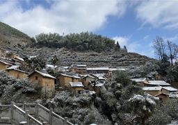 travel picture