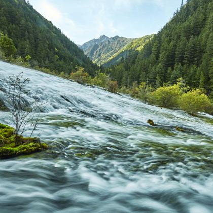 成都+九寨沟+剑门关+峨眉山+青城山+翠云廊7日6晚私家团