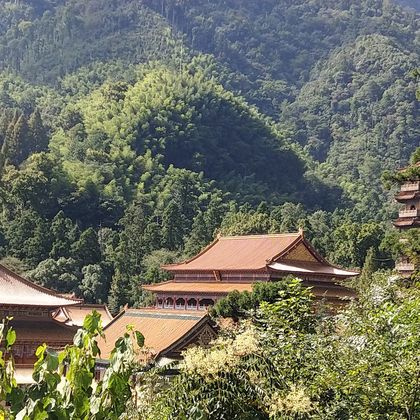 杭州+天目山景区+龙门秘境一日游 杭州+天目山景区+龙门秘境一日游