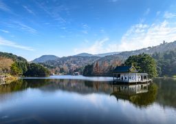 travel picture