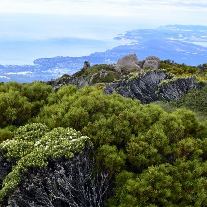 澳大利亚塔斯马尼亚霍巴特+朗塞斯顿8日7晚自由行 澳大利亚塔斯马尼亚霍巴特+朗塞斯顿8日7晚自由行