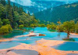 travel picture