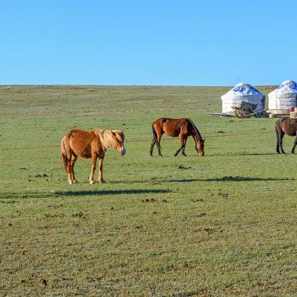 呼和浩特+希拉穆仁草原+响沙湾5日4晚私家团 呼和浩特+希拉穆仁草原+响沙湾5日4晚私家团