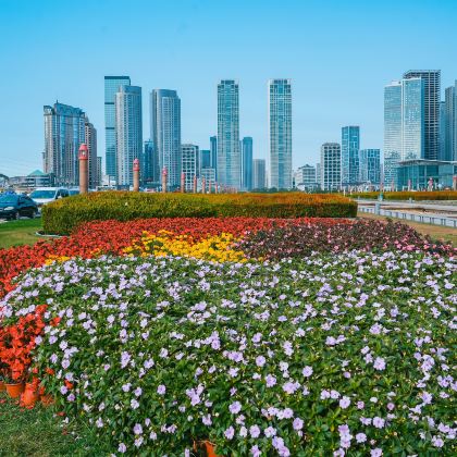 大连+旅顺口区+金石滩4日3晚跟团游 大连+旅顺口区+金石滩4日3晚跟团游