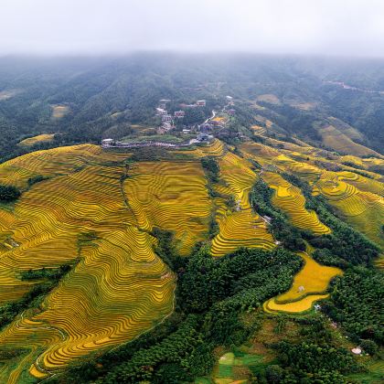 桂林+阳朔+漓江四星游船+龙脊梯田5日4晚私家团 桂林+阳朔+漓江四星游船+龙脊梯田5日4晚私家团