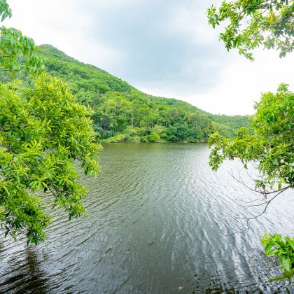 丽水4日3晚私家团