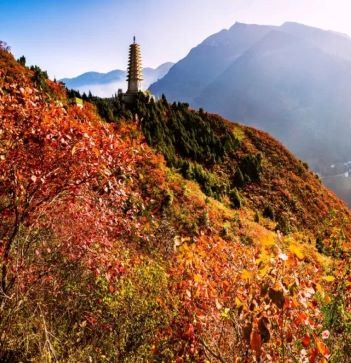 重庆7日6晚私家团 重庆7日6晚私家团