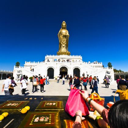 普陀山风景区+洛迦山+朱家尖大青山景区4日3晚私家团