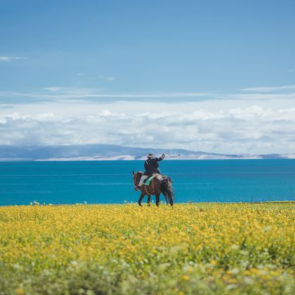 兰州水墨丹霞旅游景区+黄河石林国家地质公园+青海湖+青海湖东格尔观景台+茶卡盐湖2日1晚跟团游 兰州水墨丹霞旅游景区+黄河石林国家地质公园+青海湖+青海湖东格尔观景台+茶卡盐湖2日1晚跟团游