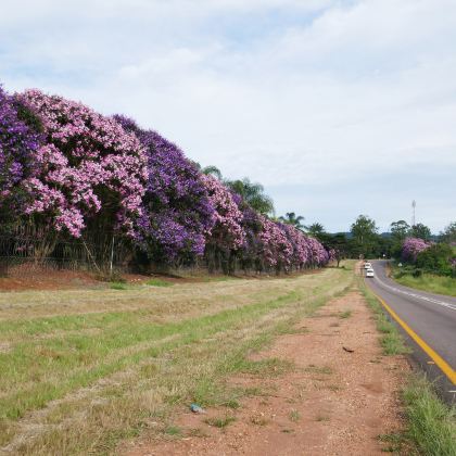 南非8日7晚自由行 南非8日7晚自由行